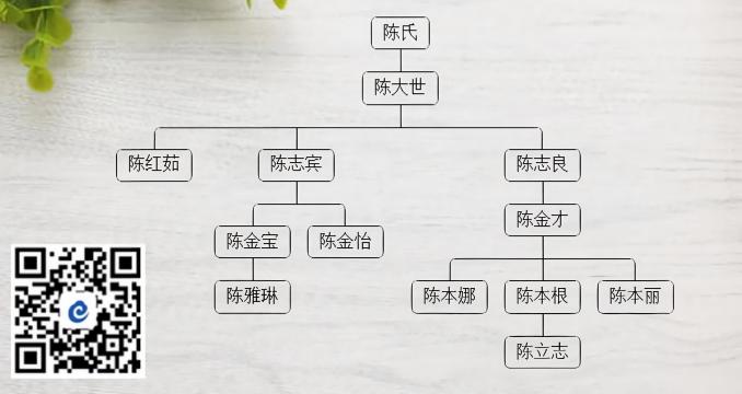 e家云家谱 - 产品界面预览